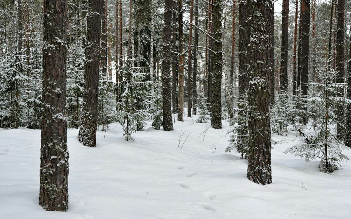 ��� ����. ����� �������� �������� �� PhotoGeek.ru #������ ��� �������