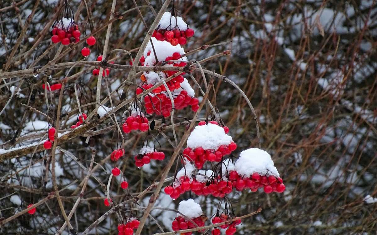 ���������� �������� ��� ����. ����� �������� �������� �� PhotoGeek.ru #������ ��� �������