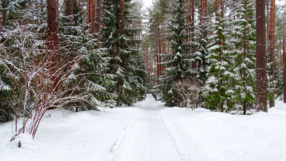 �� ������ �������� ����. ����� �������� �������� �� PhotoGeek.ru #������ ��� �������