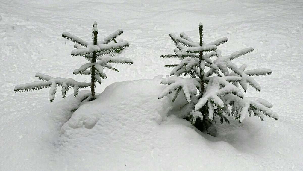 ��� ����. ����� �������� �������� �� PhotoGeek.ru #������ ��� �������