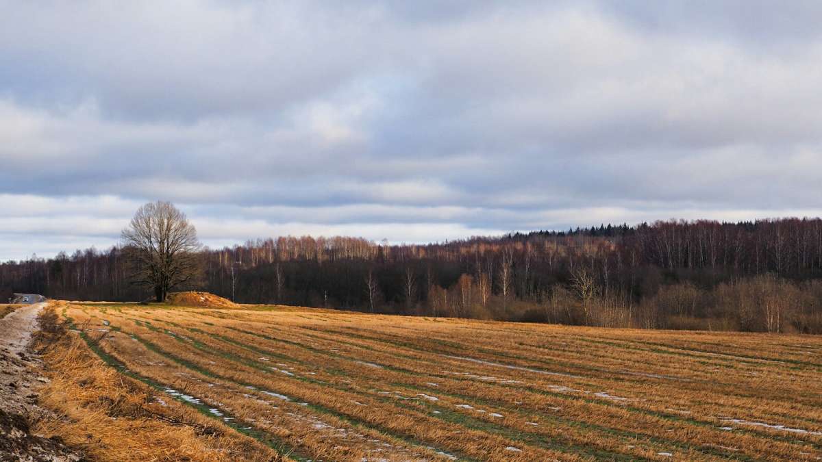 �������� ������ �������� ���. ����� �������� �������� �� PhotoGeek.ru #������ ��� �������