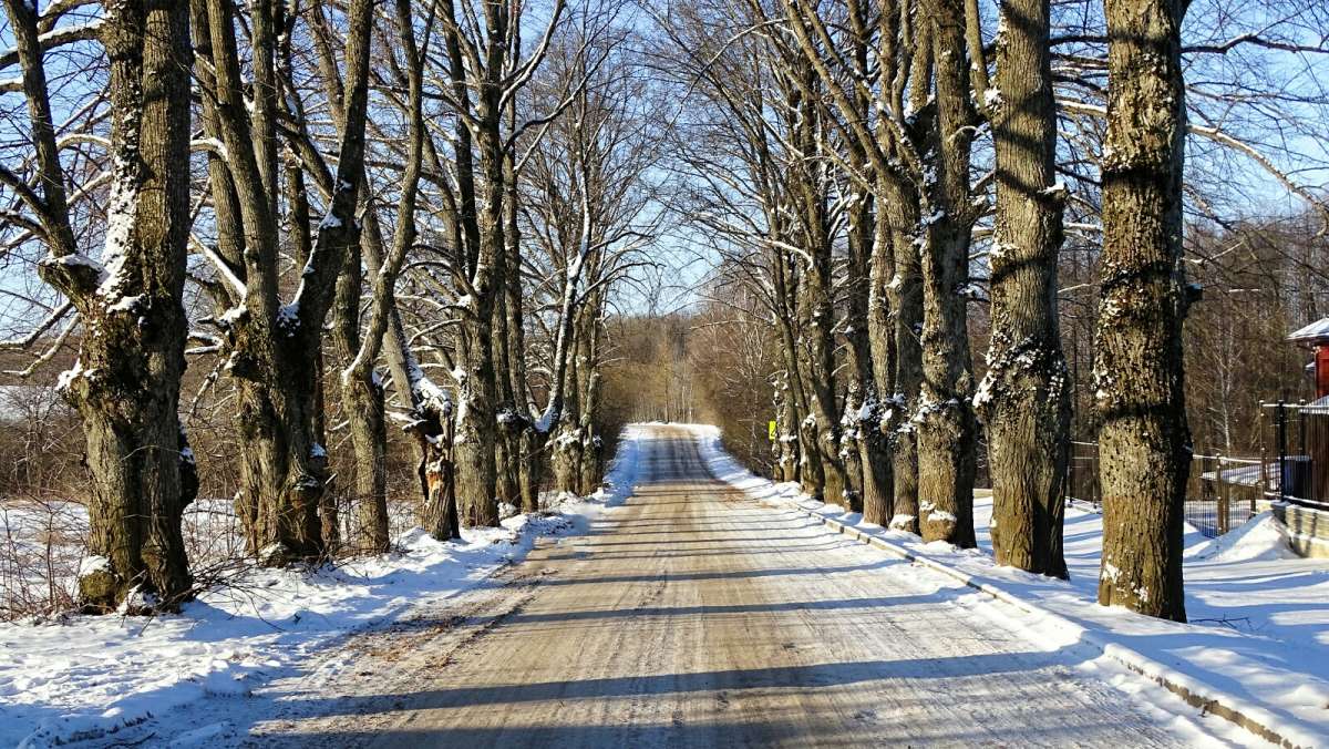 �������� ������. ����� �������� �������� �� PhotoGeek.ru #������ ��� �������