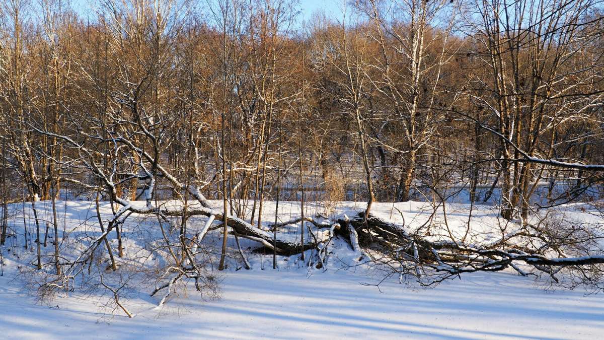 ���� ��������� �� ����������. ����� �������� �������� �� PhotoGeek.ru #������ ��� �������