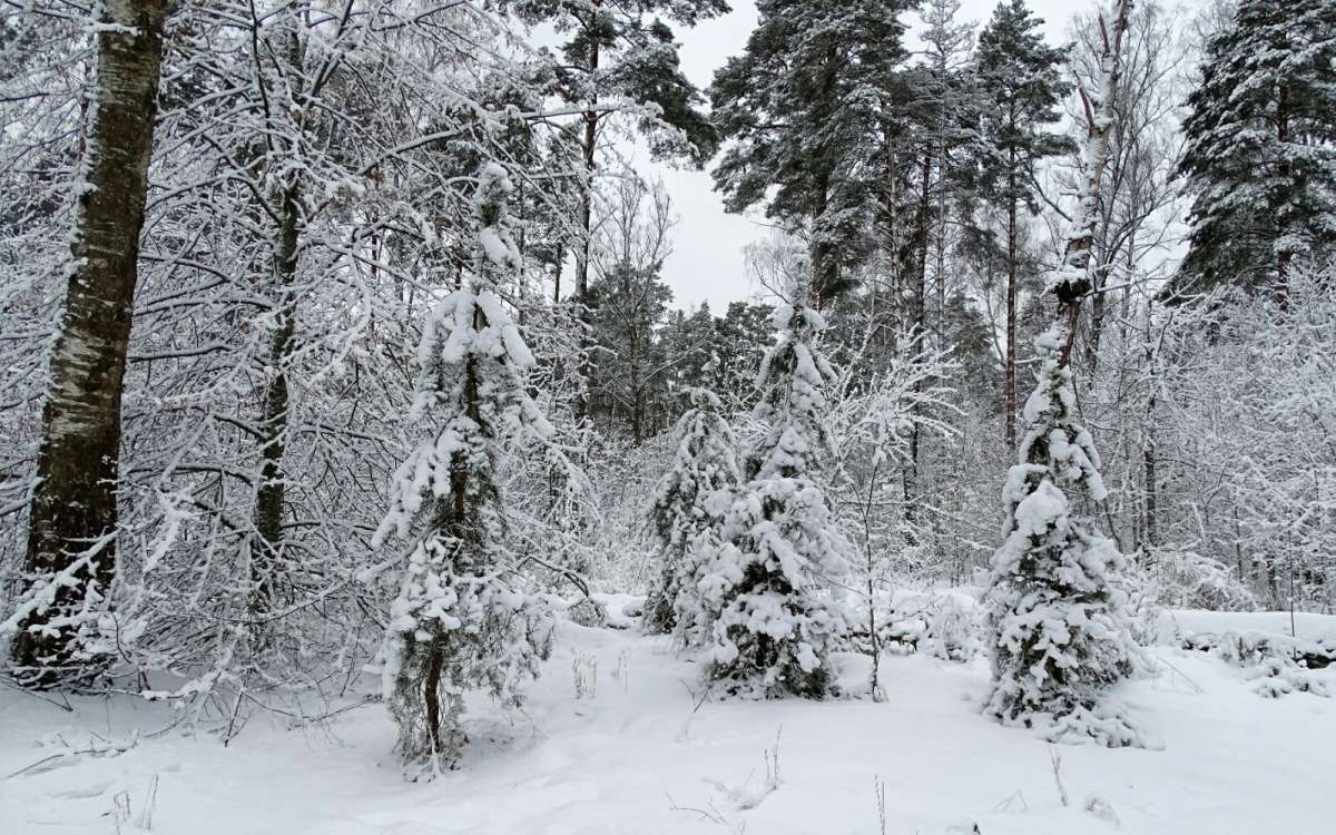 ������� �������. ����� �������� �������� �� PhotoGeek.ru #������ ��� �������