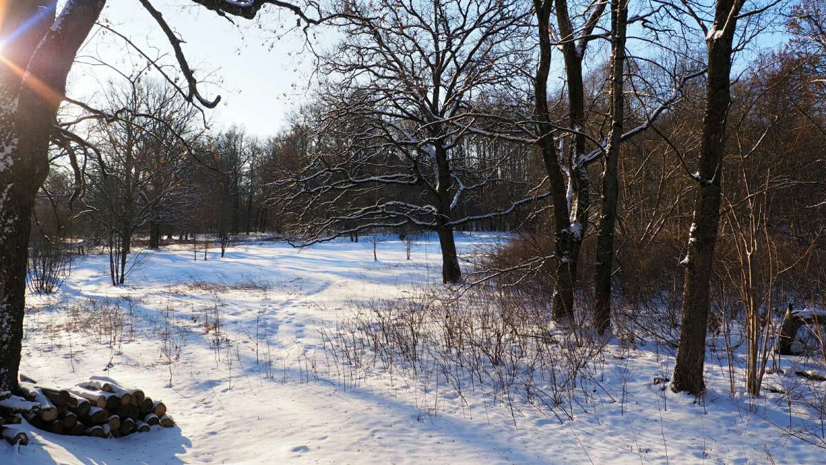 ���������� ����. ����� �������� �������� �� PhotoGeek.ru #������ ��� �������