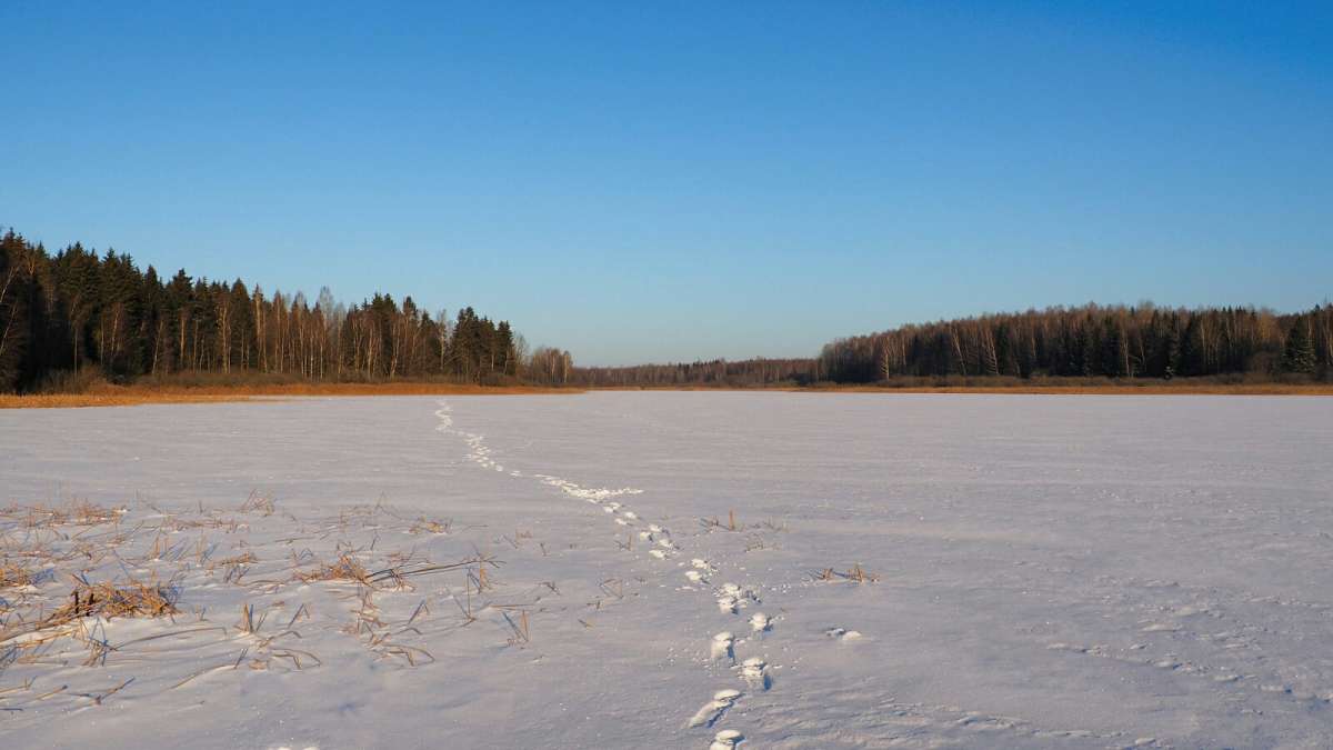 ��� ���� �� ����. ����� �������� �������� �� PhotoGeek.ru #������ ��� �������