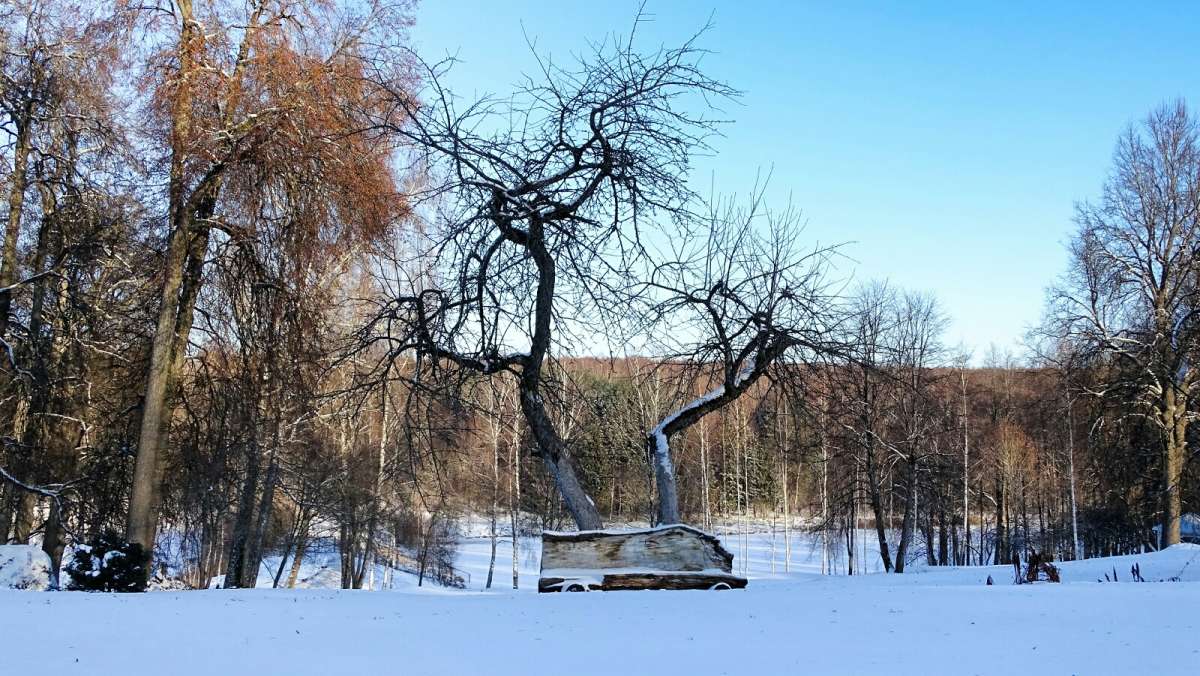 ������ ������. ����� �������� �������� �� PhotoGeek.ru #������ ��� �������