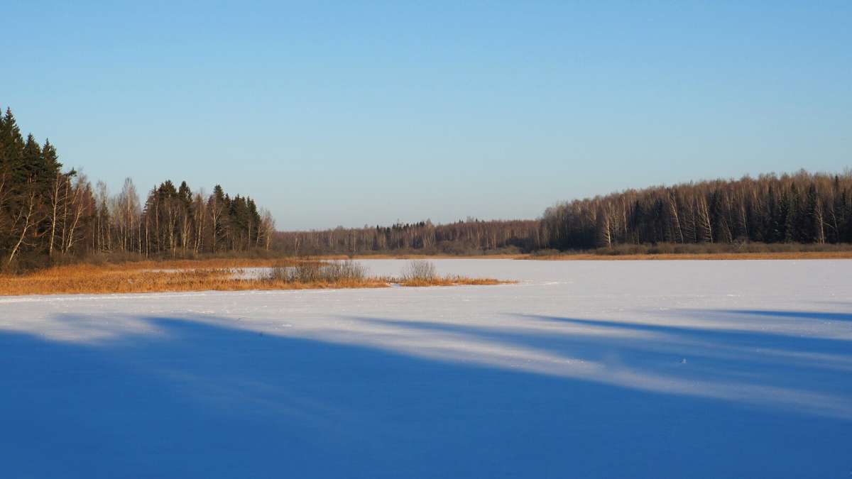 ��� ����. ����� �������� �������� �� PhotoGeek.ru #������ ��� �������