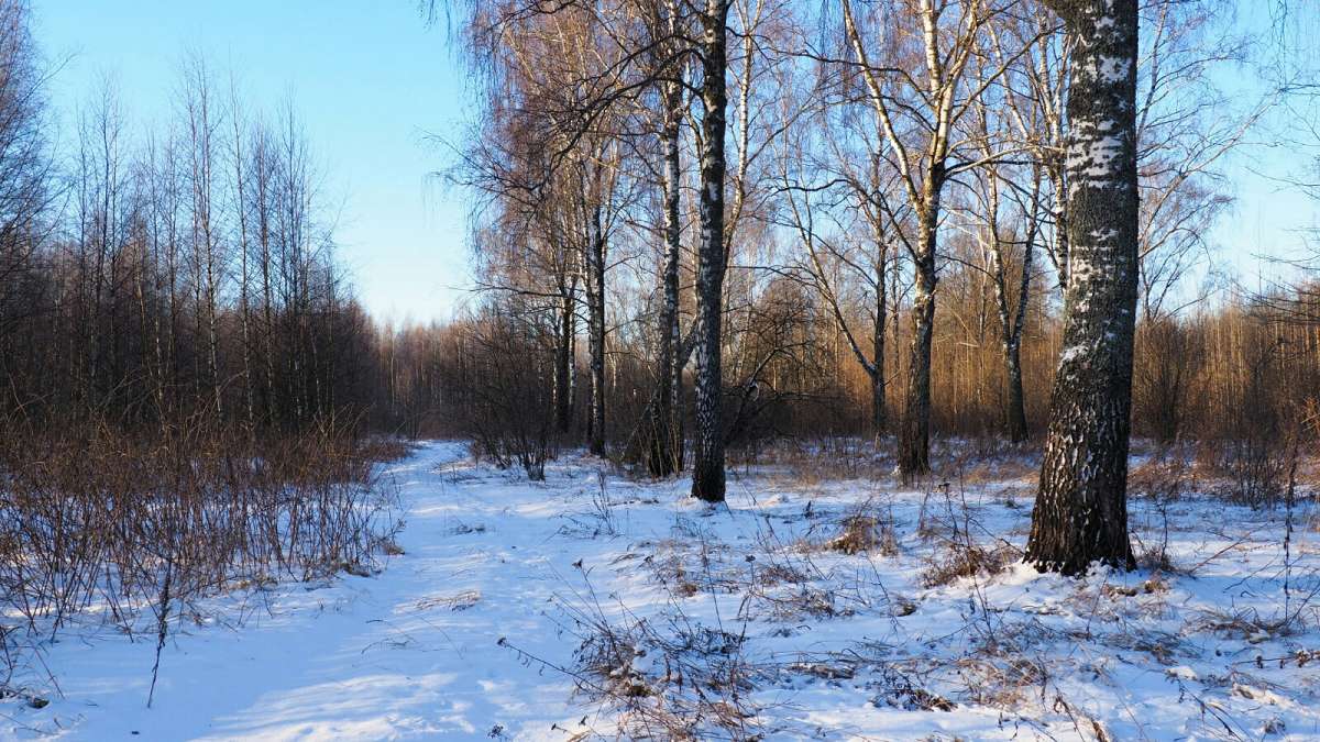 ������� ����� � �������� ����. ����� �������� �������� �� PhotoGeek.ru #������ ��� �������