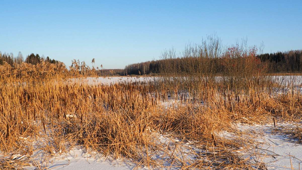 ������� ������� ������ � ������. ����� �������� �������� �� PhotoGeek.ru #������ ��� �������