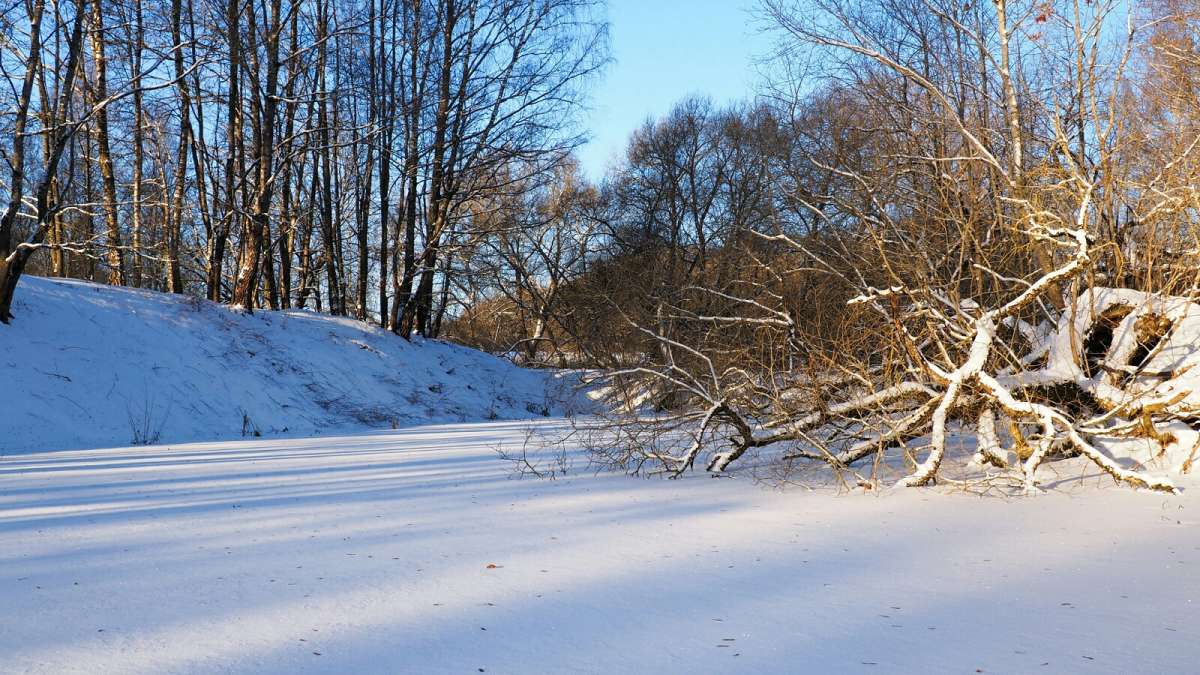 ��� ����. ����� �������� �������� �� PhotoGeek.ru #������ ��� �������