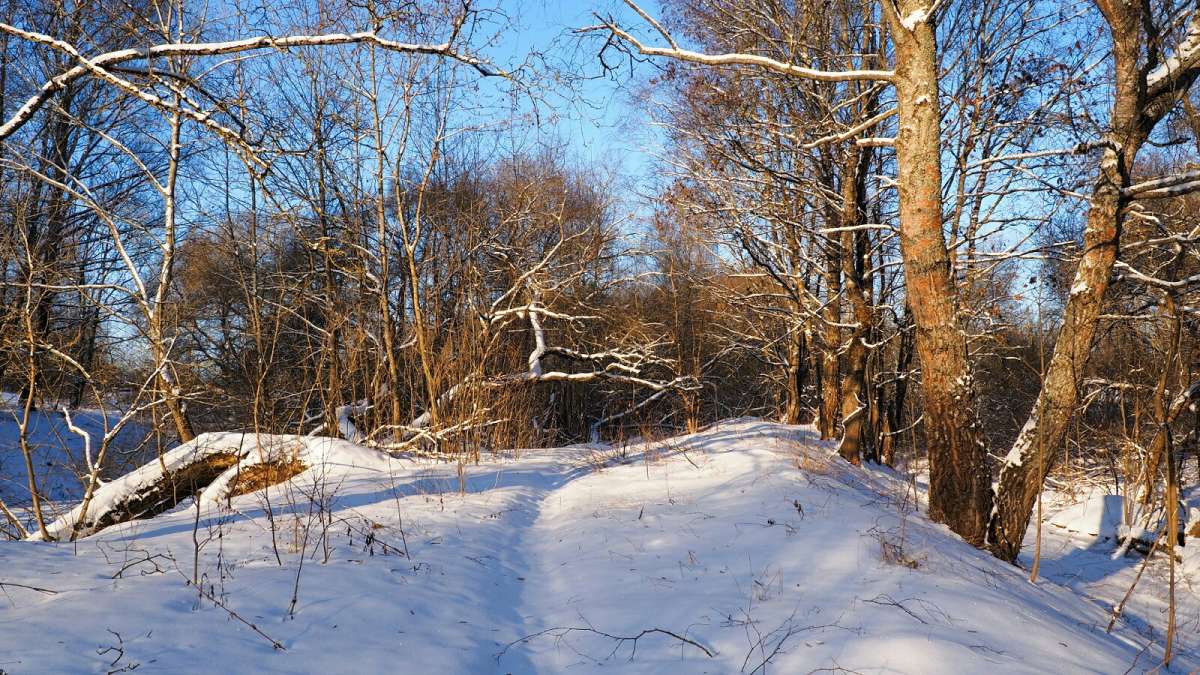 ��� ����. ����� �������� �������� �� PhotoGeek.ru #������ ��� �������