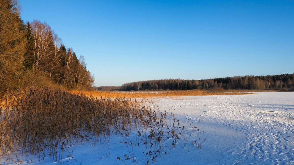 ��� ����������. ����� �������� �������� �� PhotoGeek.ru #������ ��� �������