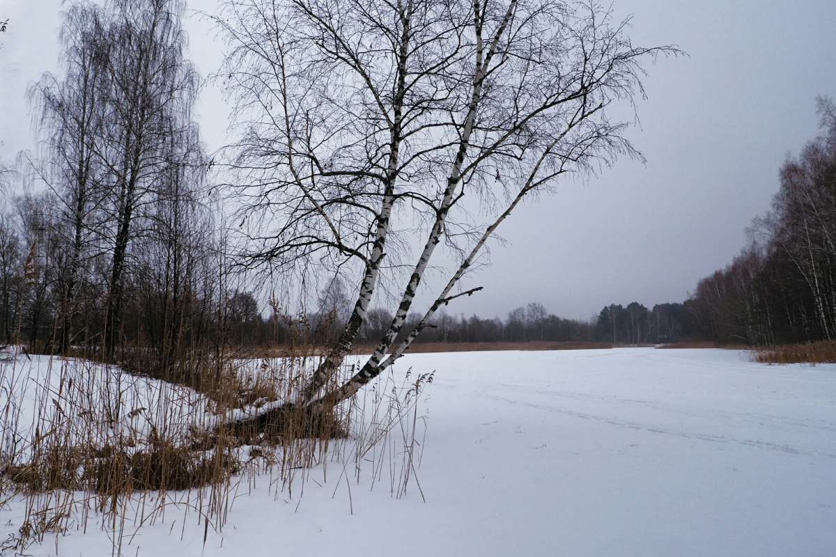 ��������� ��������� ����. ����� �������� �������� �� PhotoGeek.ru #������ ��� �������