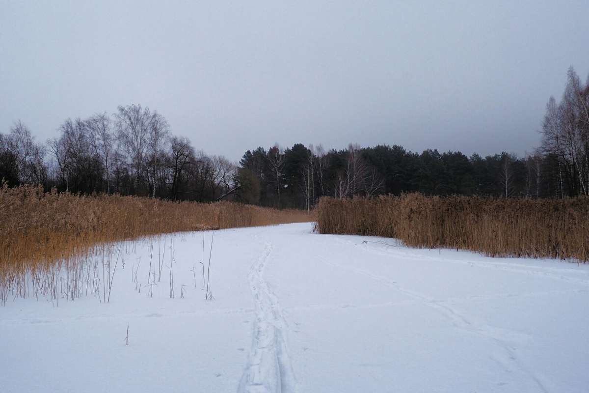 ��������. ����� �������� �������� �� PhotoGeek.ru #������ ��� �������