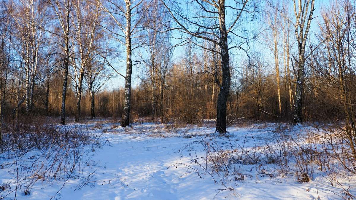 ������ ���. ����� �������� �������� �� PhotoGeek.ru #������ ��� �������