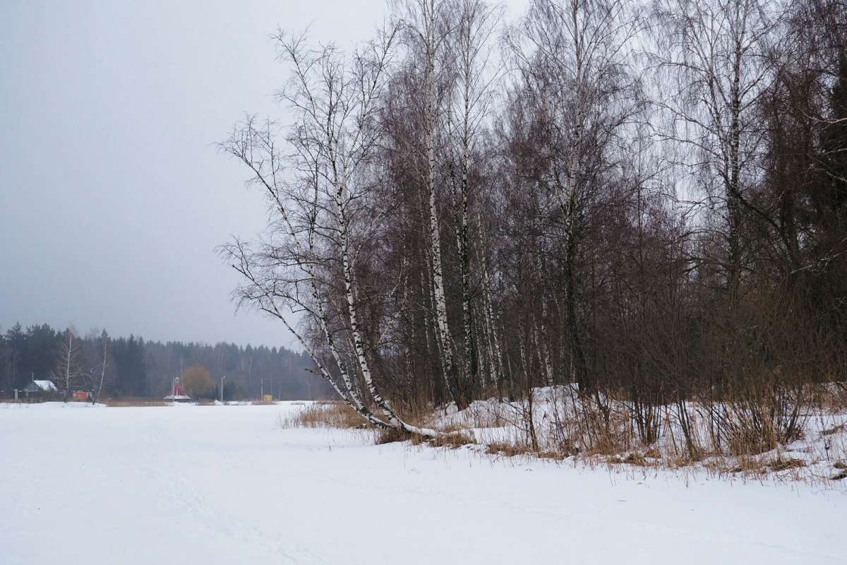 ����� ���� � ��������� ����. ����� �������� �������� �� PhotoGeek.ru #������ ��� �������