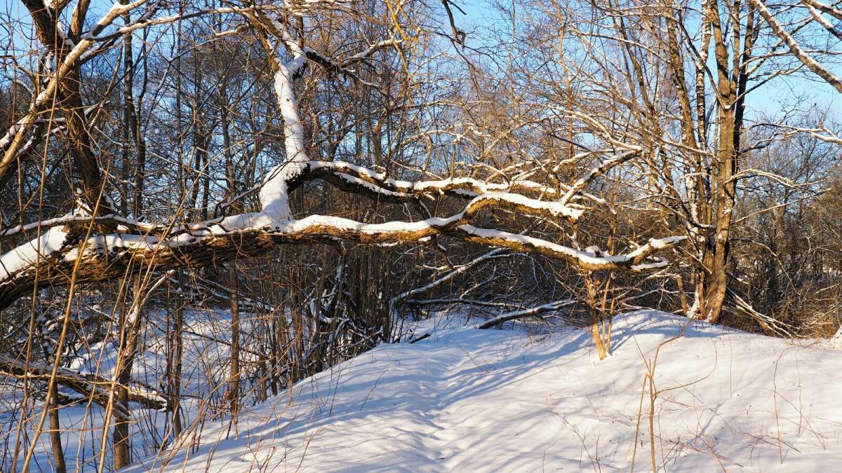 "��� ������, ��� ����� ������!" ����� �������� �������� �� PhotoGeek.ru #������ ��� �������