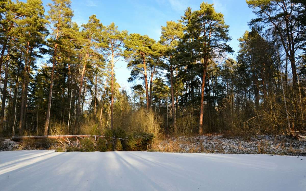 ������ ������. ����� �������� �������� �� PhotoGeek.ru #������ ��� �������