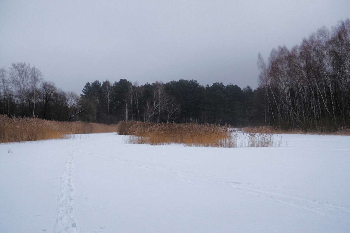 �� ����, �� ����� - ��� ������ �� ����������. ����� �������� �������� �� PhotoGeek.ru #������ ��� �������