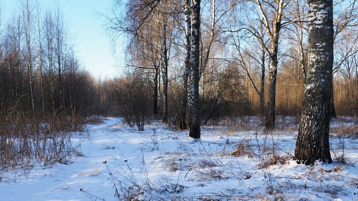 ����� � ������. ����� �������� �������� �� PhotoGeek.ru #������ ��� �������