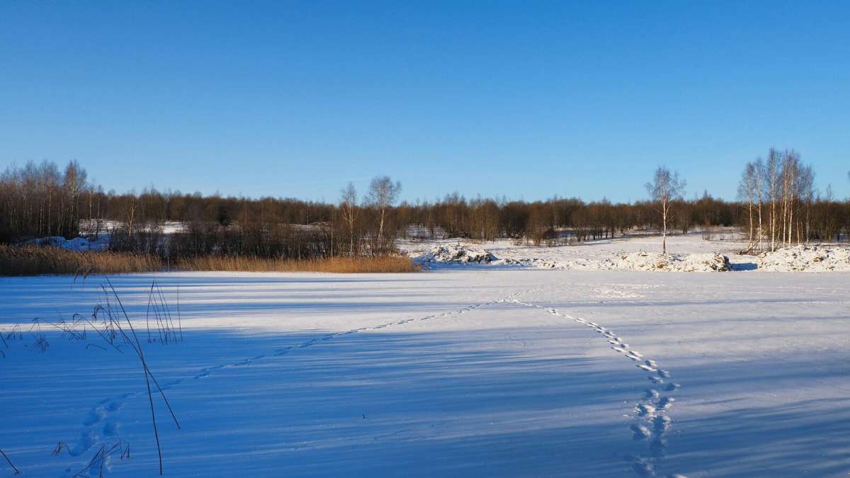 ��� ����. ����� �������� �������� �� PhotoGeek.ru #������ ��� �������