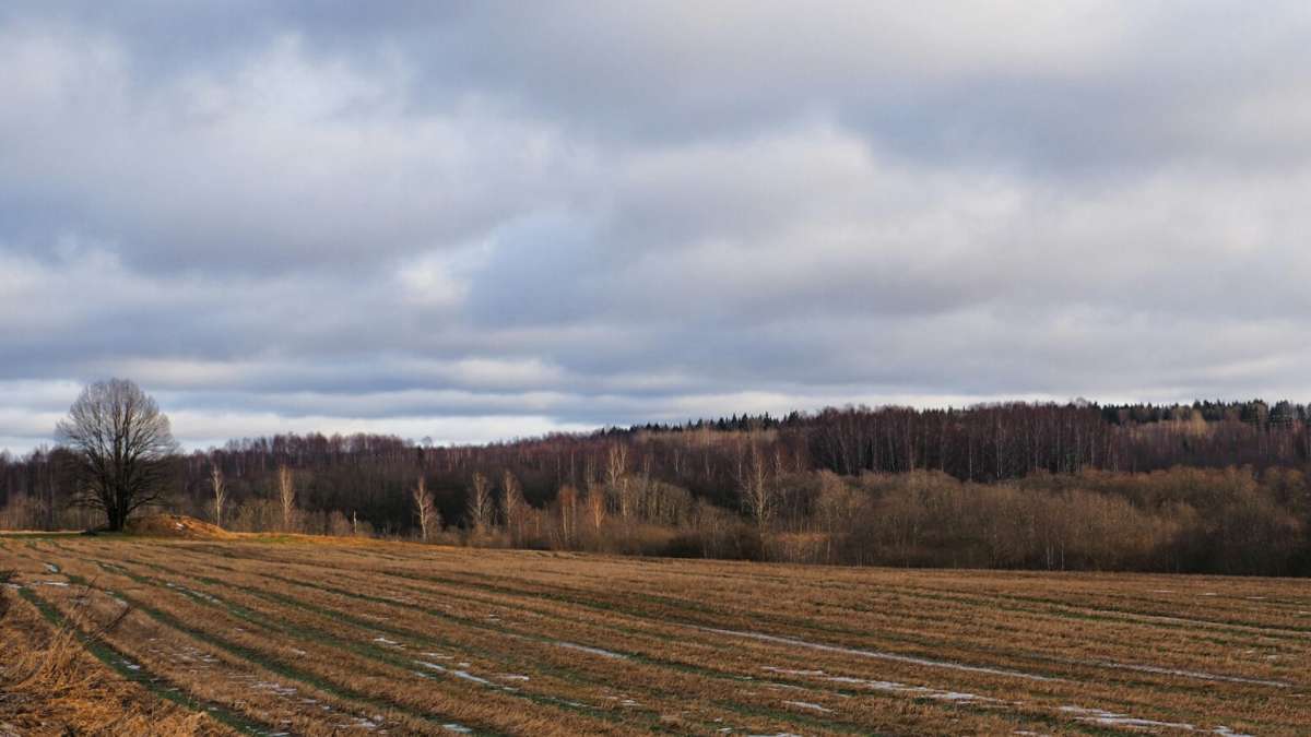 ������, ������� �� �����. ����� �������� �������� �� PhotoGeek.ru #������ ��� �������