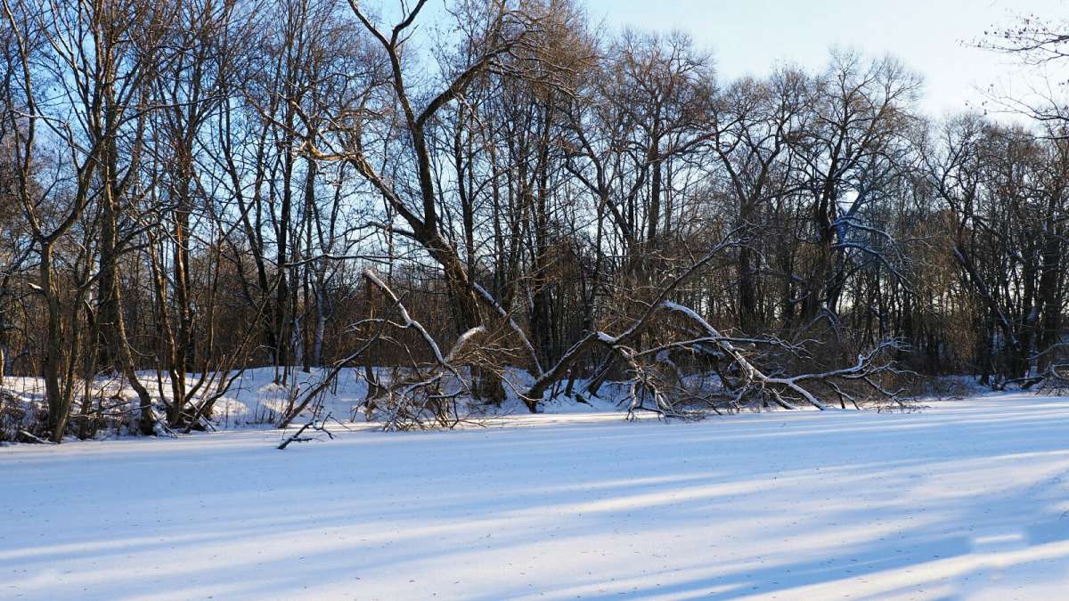 "�������������" �������. ����� �������� �������� �� PhotoGeek.ru #������ ��� �������