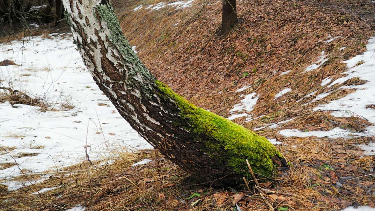 ������� ������! ����� �������� �������� �� PhotoGeek.ru #������ ��� �������