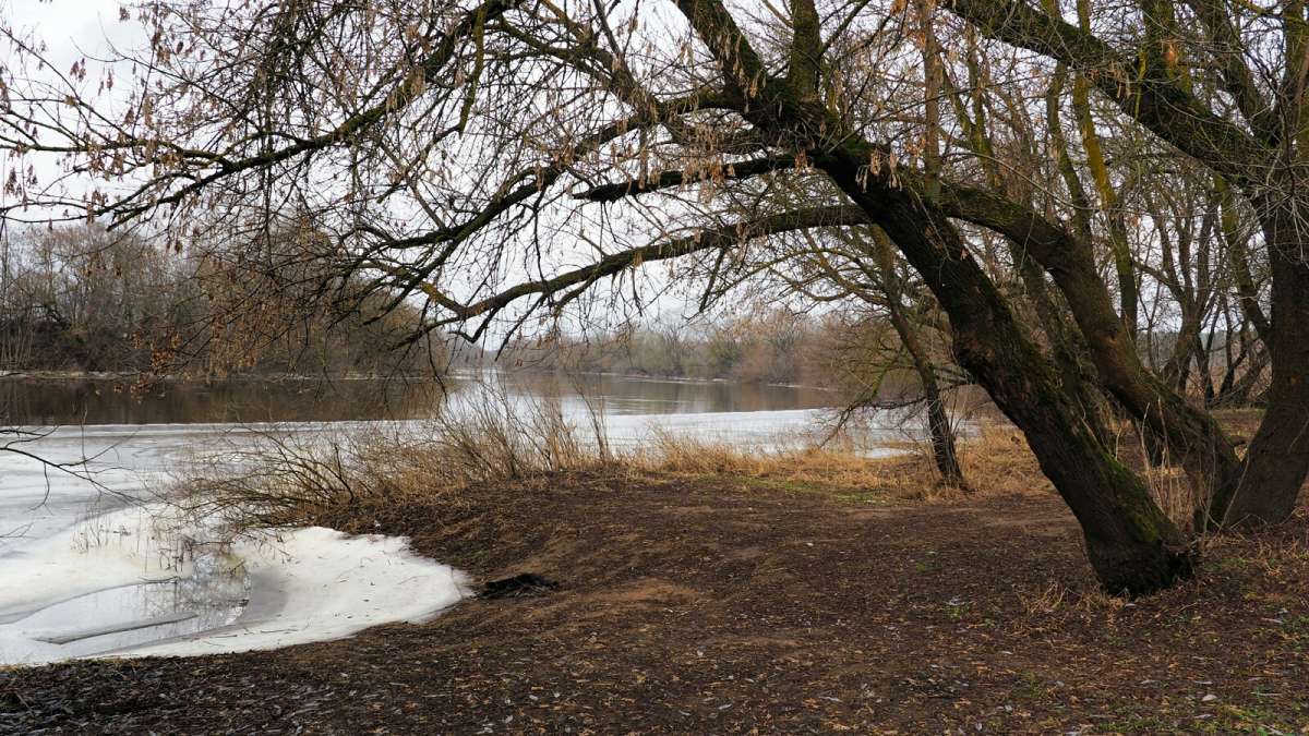 ���� � ������ ��������� ��-���������. ����� �������� �������� �� PhotoGeek.ru #������ ��� �������