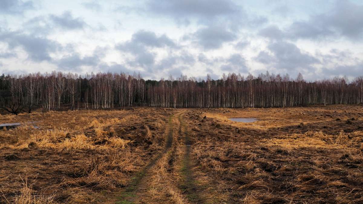 �� ������ ����� �� ��������, ������ ������! ����� �������� �������� �� PhotoGeek.ru #������ ��� �������