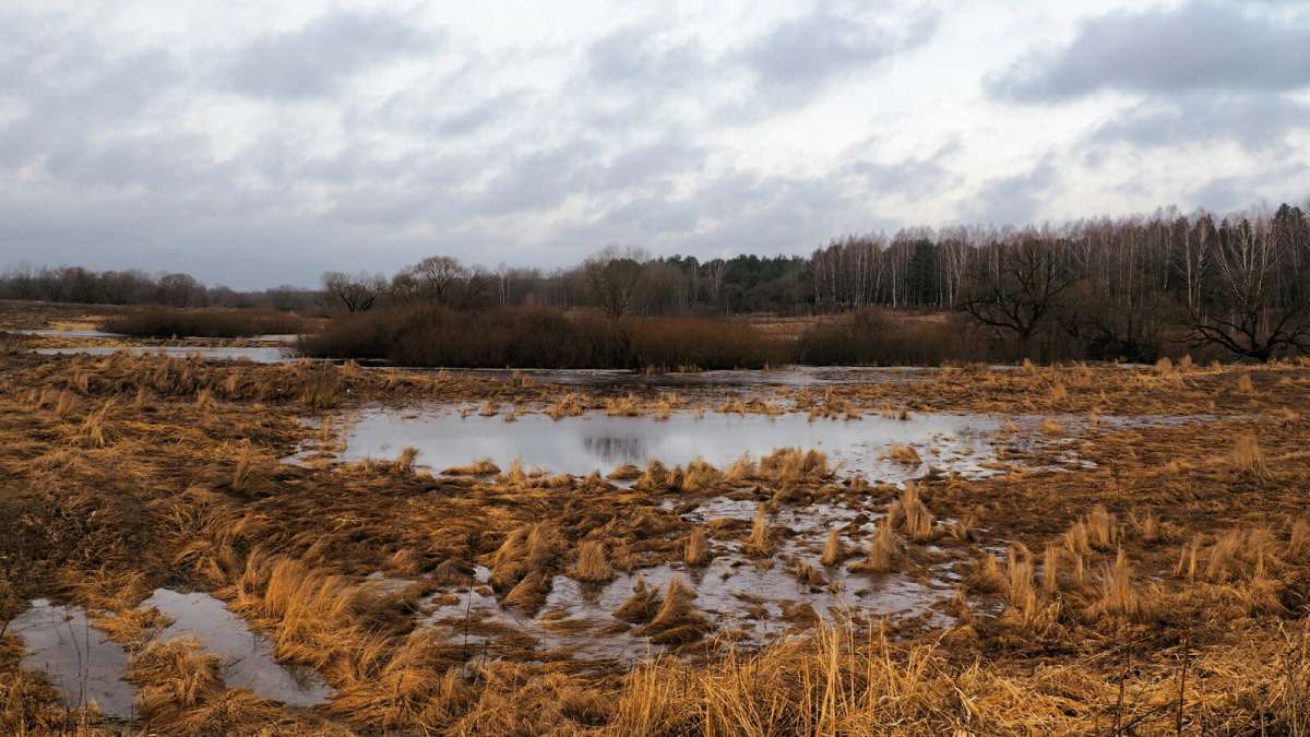 ������� ���� � ������! ����� �������� �������� �� PhotoGeek.ru #������ ��� �������