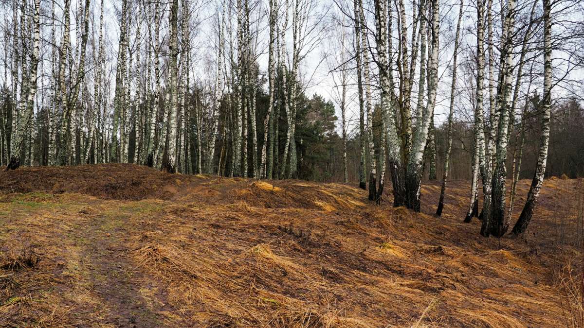 ������ �� ��������. ����� �������� �������� �� PhotoGeek.ru #������ ��� �������