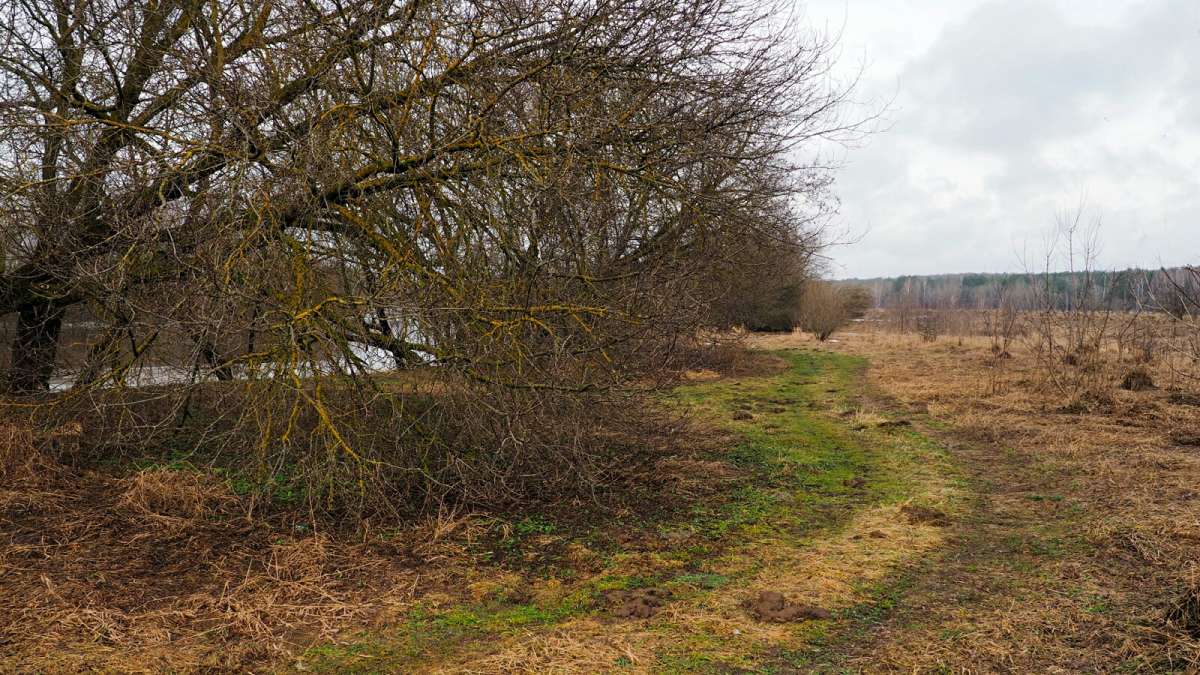 �� ������ ������. ����� �������� �������� �� PhotoGeek.ru #������ ��� �������