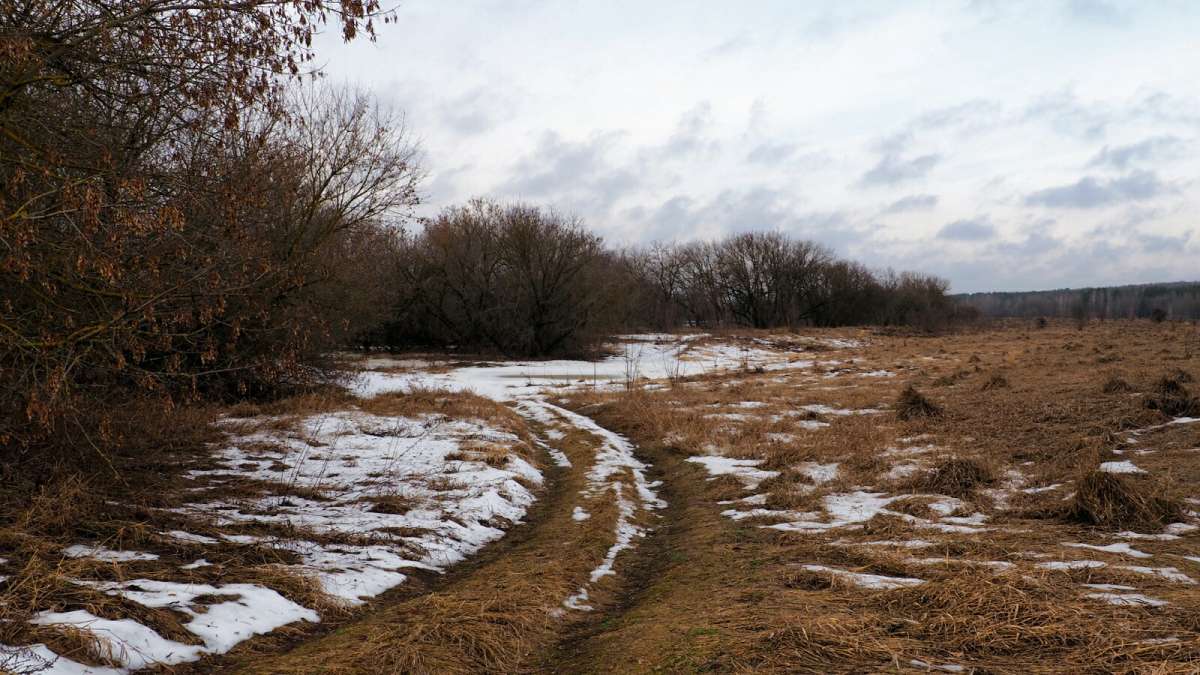 ���������� � ������. ����� �������� �������� �� PhotoGeek.ru #������ ��� �������