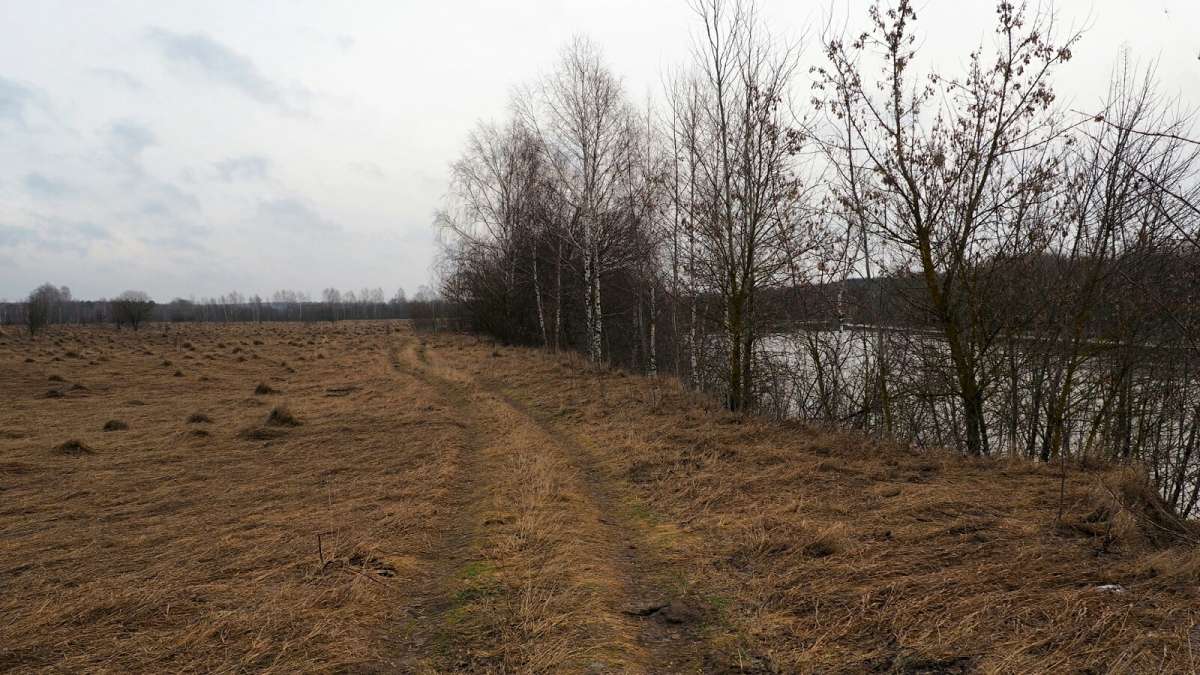 ������ �� ������ ������. ����� �������� �������� �� PhotoGeek.ru #������ ��� �������