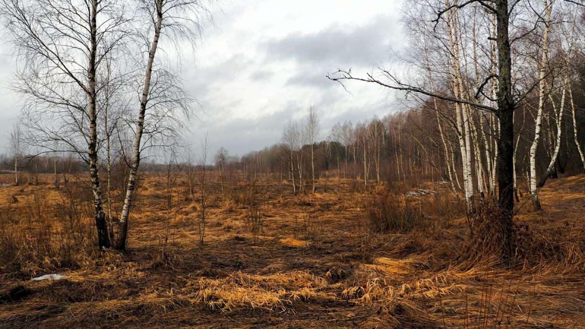 ��� ����������. ����� �������� �������� �� PhotoGeek.ru #������ ��� �������