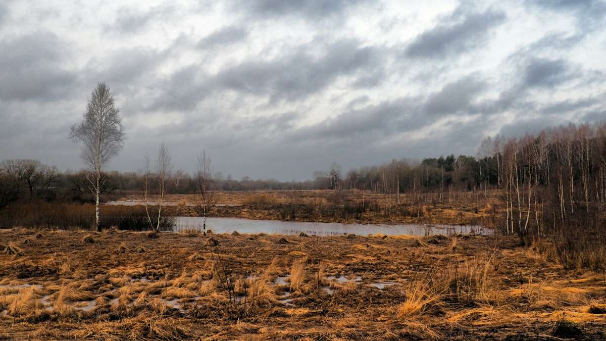 ������ ���������� ��� �������� ������! ����� �������� �������� �� PhotoGeek.ru #������ ��� �������