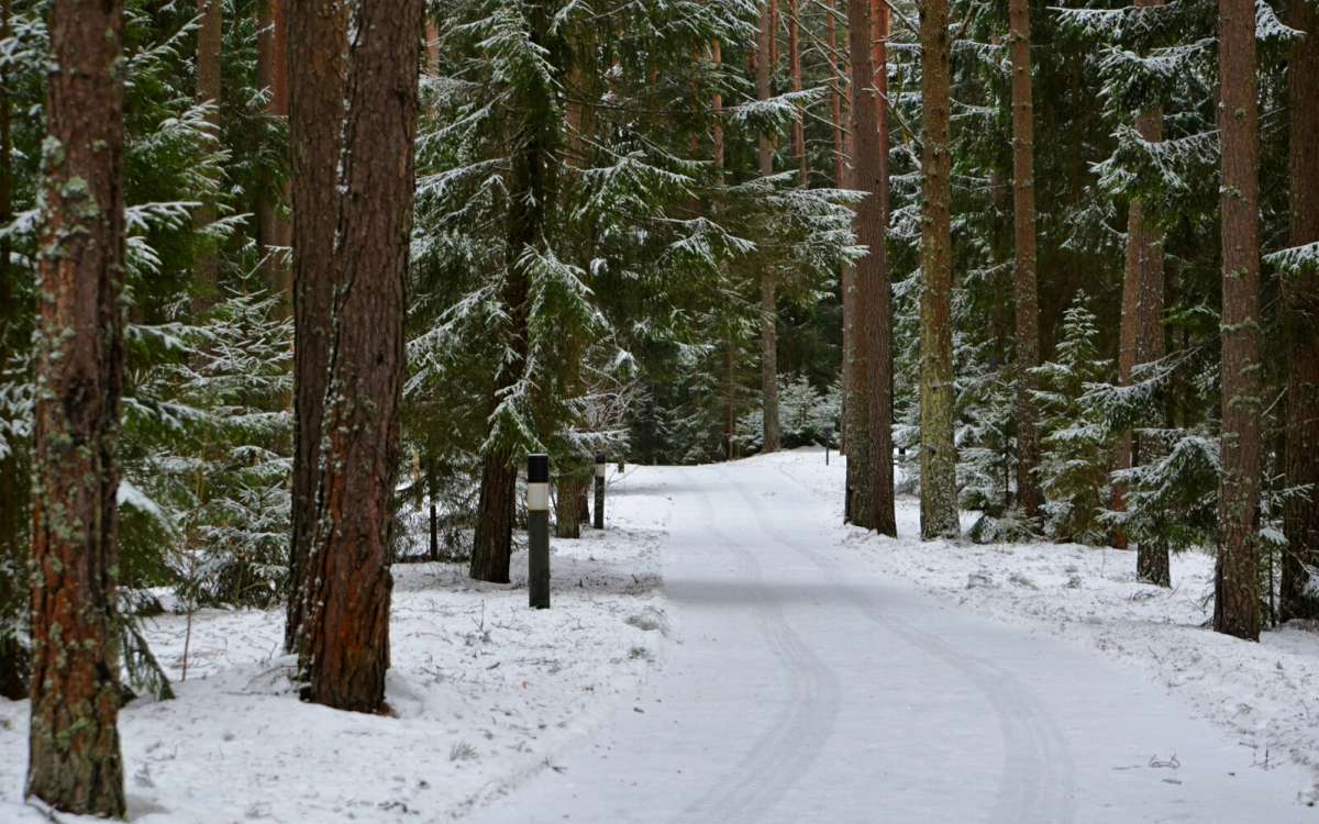 � ������ ���� ����������. ����� �������� �������� �� PhotoGeek.ru #������ ��� �������