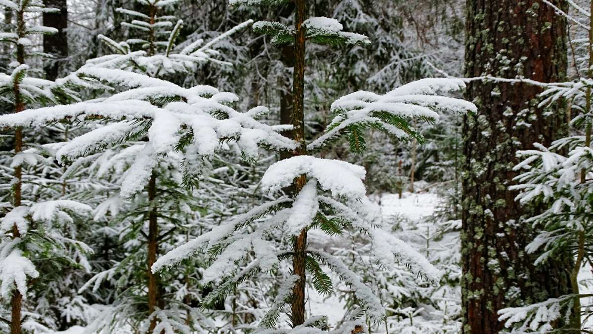 ����� ��� �����, ������� ����. ����� �������� �������� �� PhotoGeek.ru #������ ��� �������