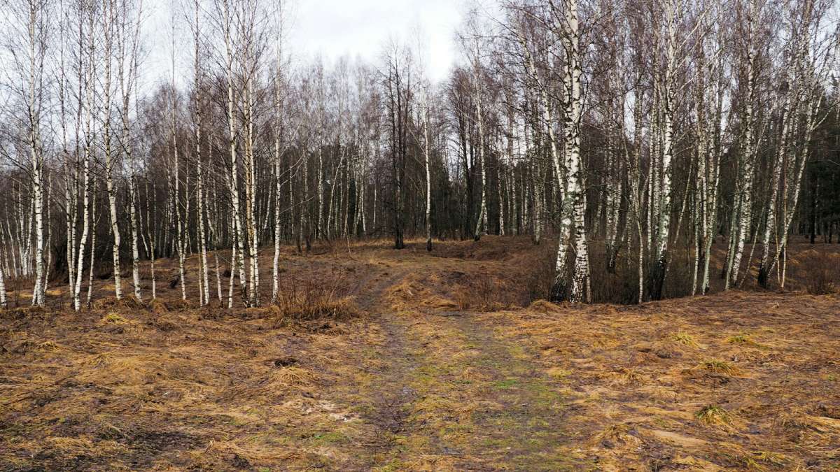 ��� ����������. ����� �������� �������� �� PhotoGeek.ru #������ ��� �������