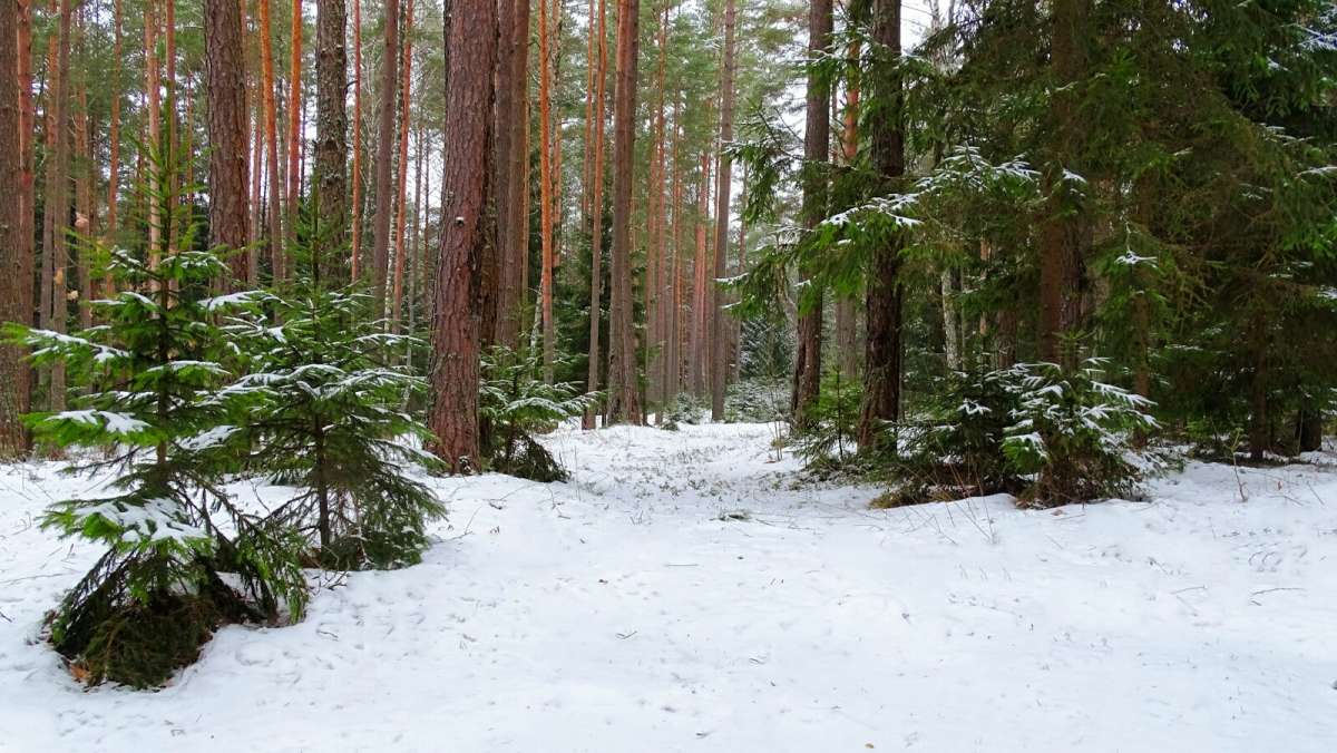 ������ ���. ����� �������� �������� �� PhotoGeek.ru #������ ��� �������