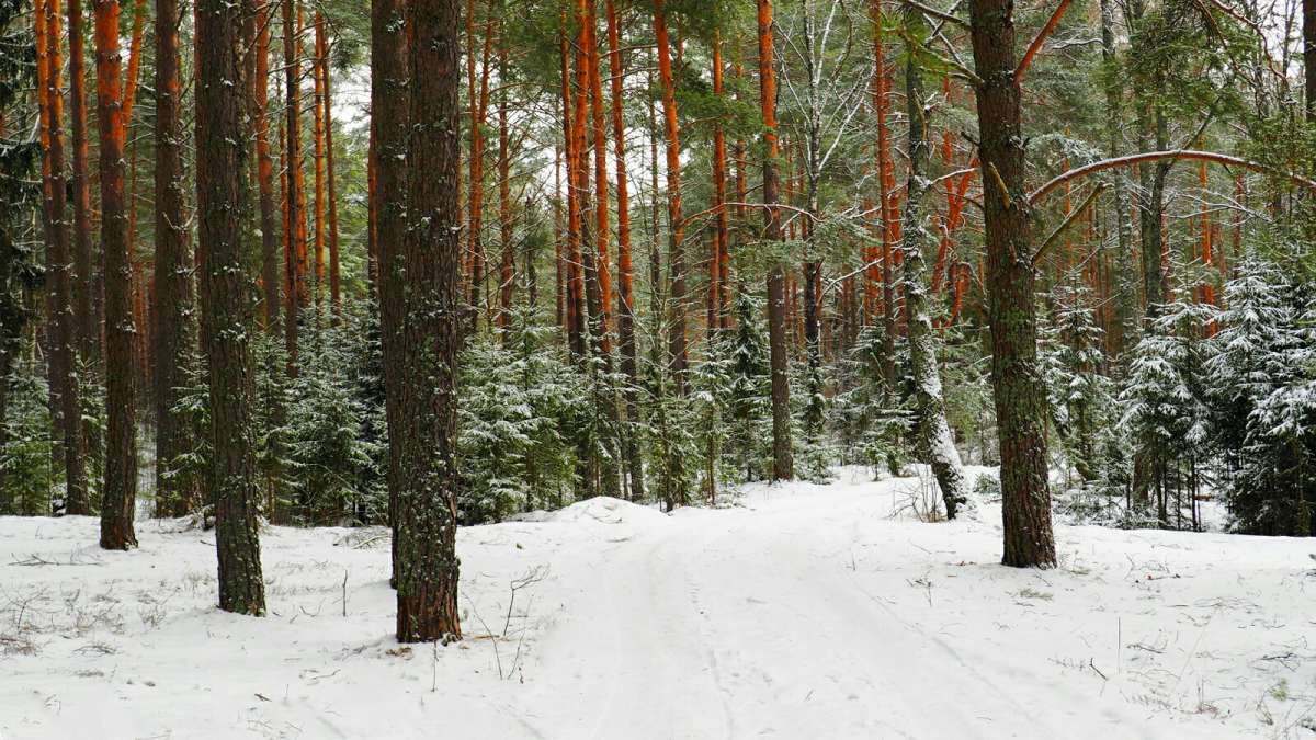 �������� ��� � ����� ������. ����� �������� �������� �� PhotoGeek.ru #������ ��� �������