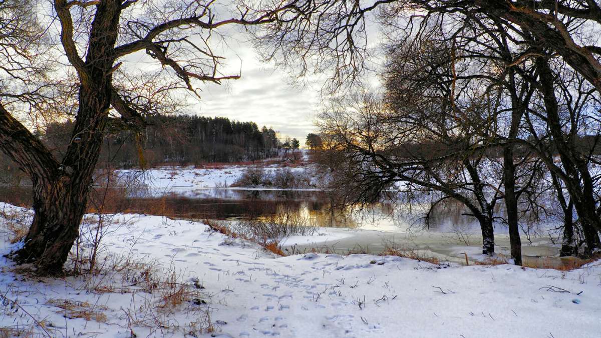 В первый день февраля. автор Владимир Милешкин на PhotoGeek.ru #Пейзаж или природа