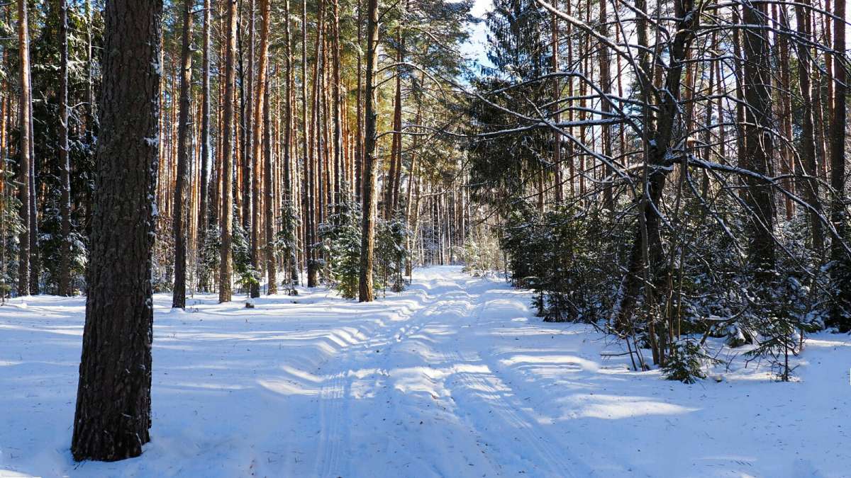 ��� ����������. ����� �������� �������� �� PhotoGeek.ru #������ ��� �������