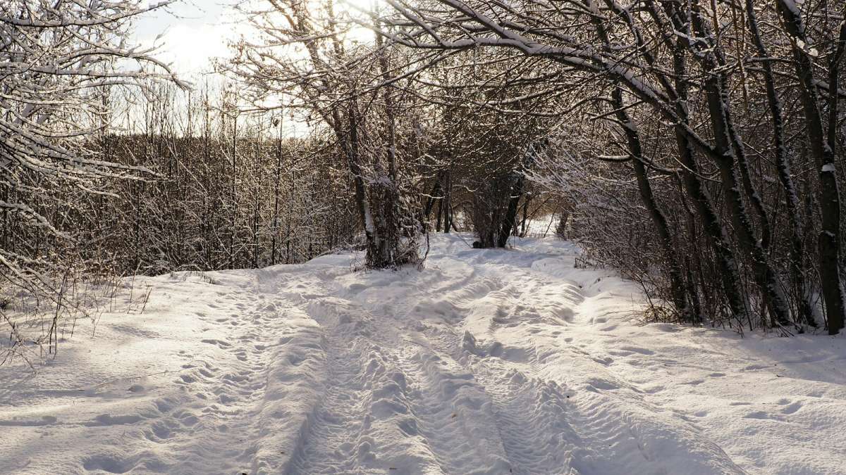 ��������� ������. ����� �������� �������� �� PhotoGeek.ru #������ ��� �������