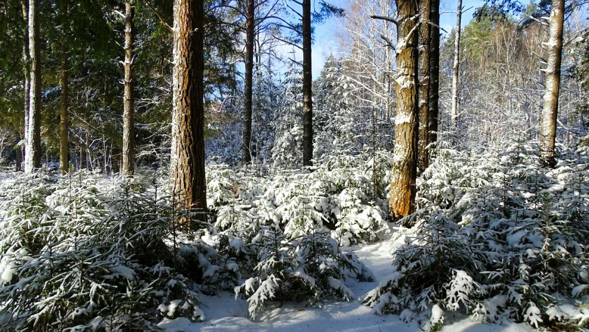 ��� ����������. ����� �������� �������� �� PhotoGeek.ru #������ ��� �������