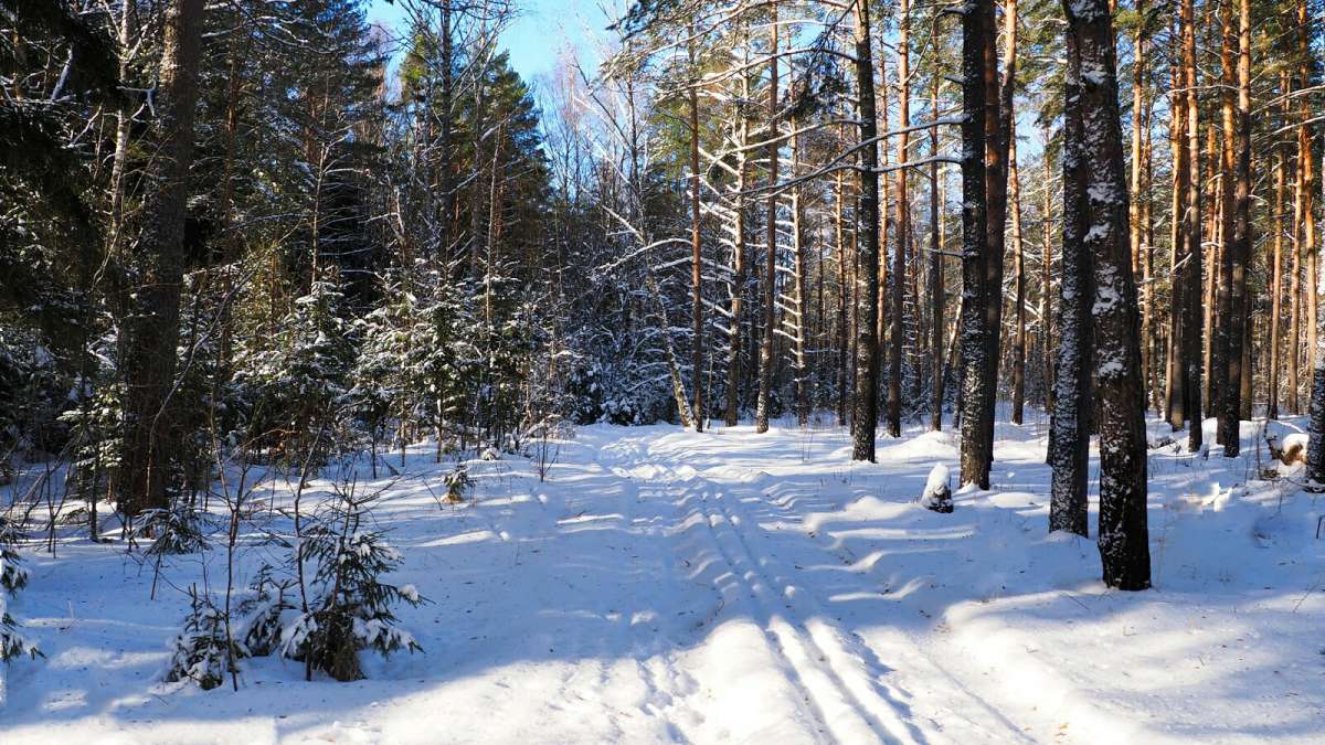 ���� - �������. ����� �������� �������� �� PhotoGeek.ru #������ ��� �������