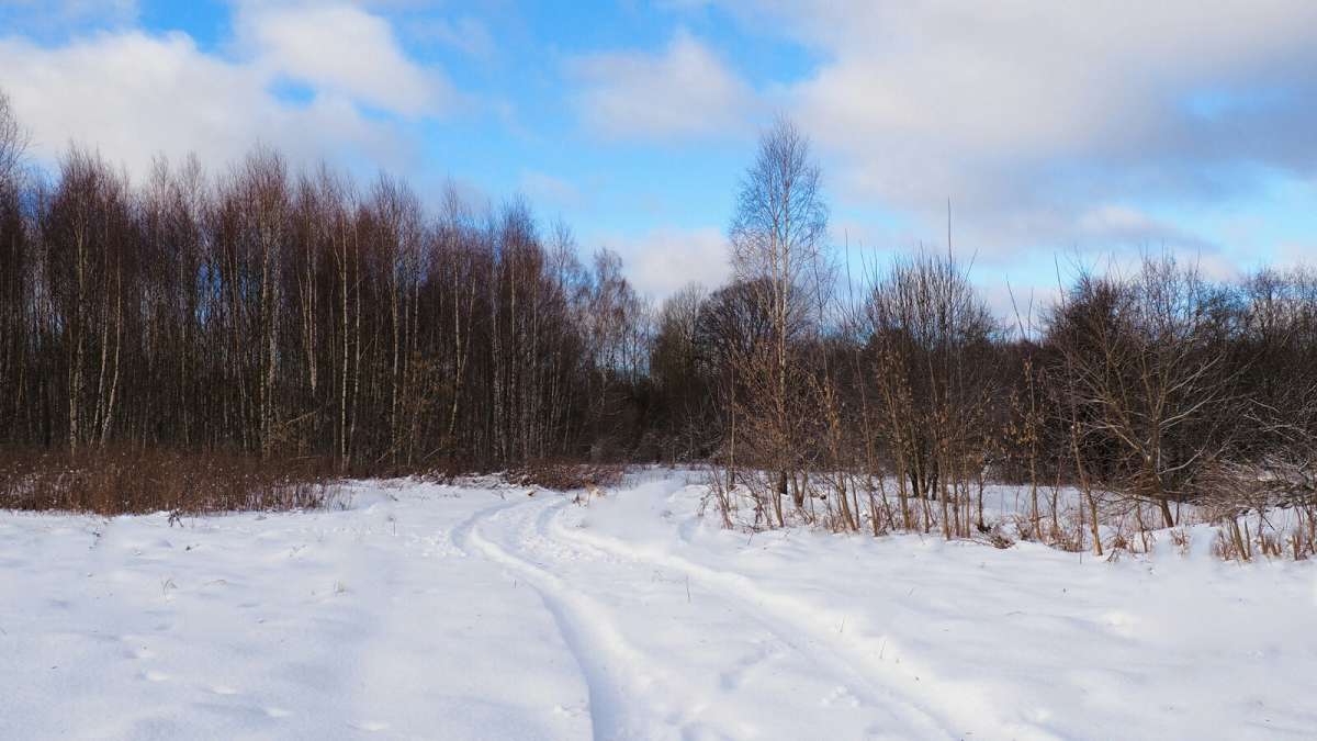 ��� ����. ����� �������� �������� �� PhotoGeek.ru #������ ��� �������