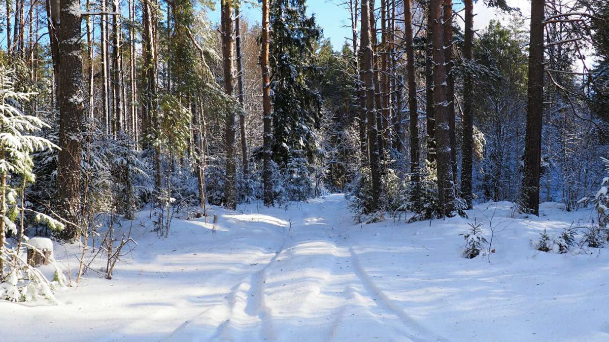 �������. ����� �������� �������� �� PhotoGeek.ru #������ ��� �������